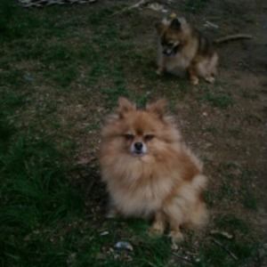 Meet your Posher, Kathy